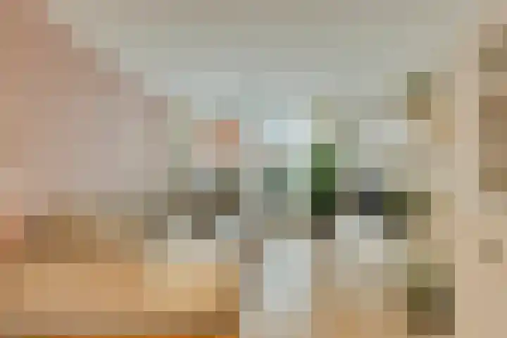 Dokter Beumerlaan 18 Otterlo thumbnail 5