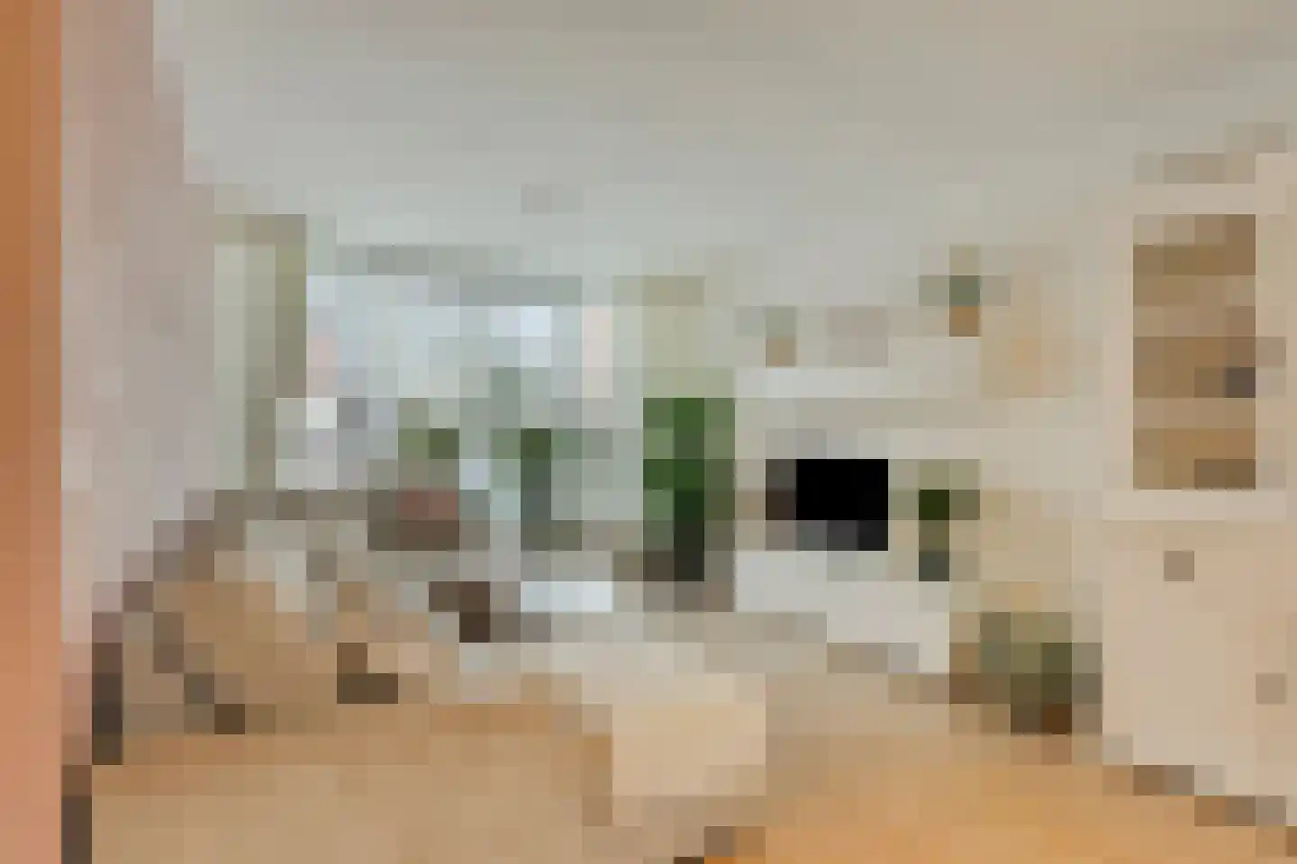 Dokter Beumerlaan 18 Otterlo thumbnail 5