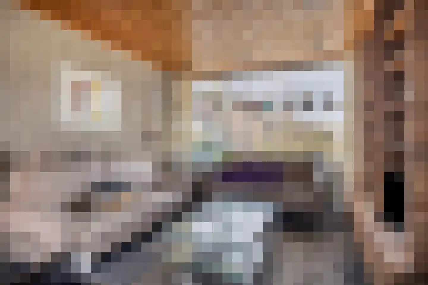 Dokter Beumerstraat 20 Haulerwijk thumbnail 5