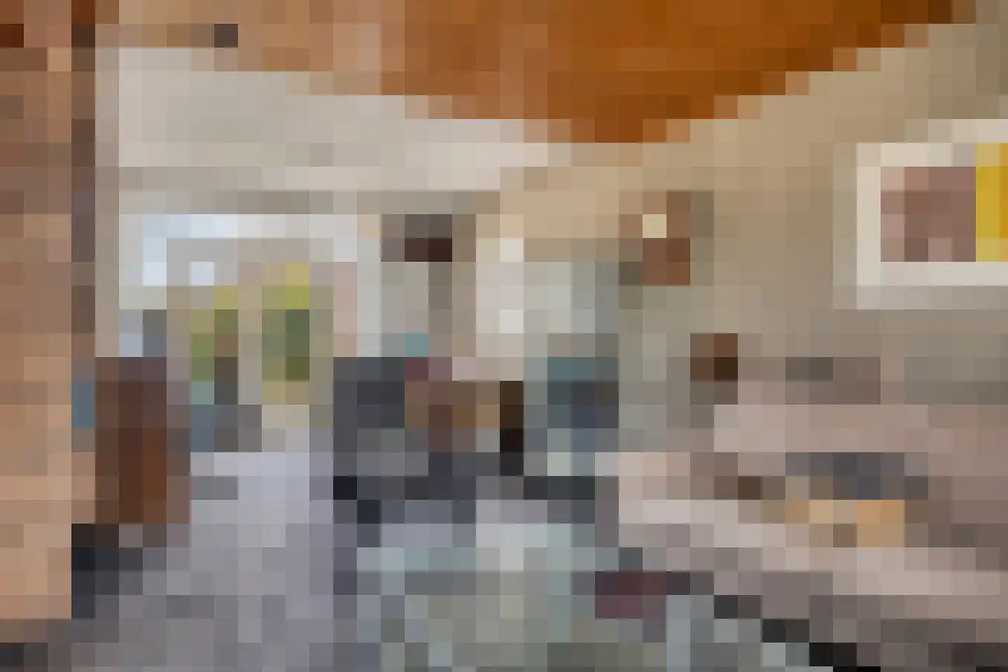Dokter Beumerstraat 20 Haulerwijk thumbnail 7
