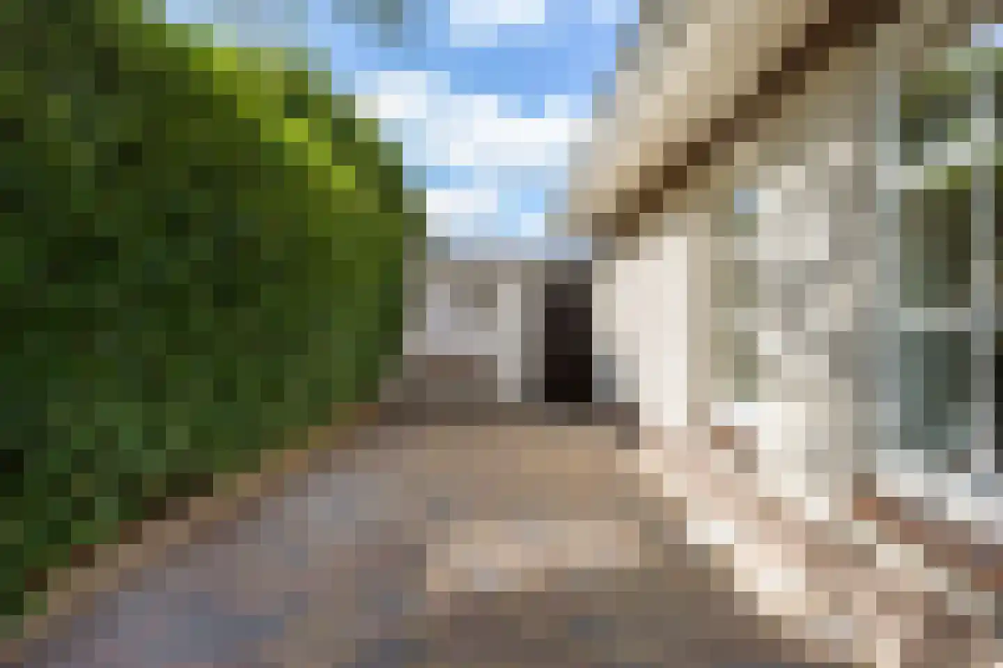 Dokter Beumerstraat 46 A Haulerwijk thumbnail 12