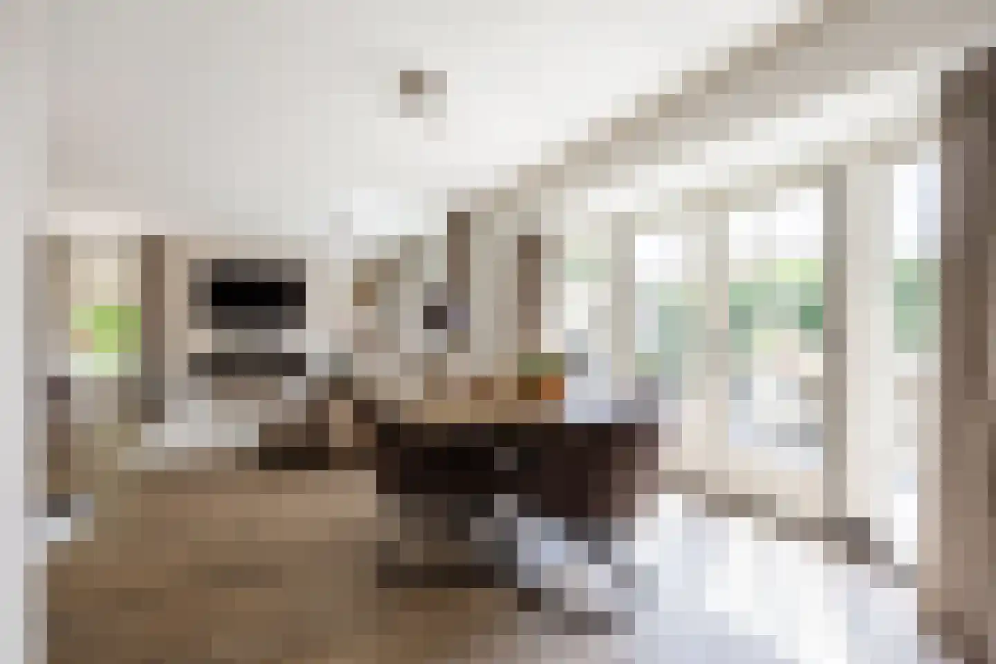 Dokter Beumerstraat 46 A Haulerwijk thumbnail 29