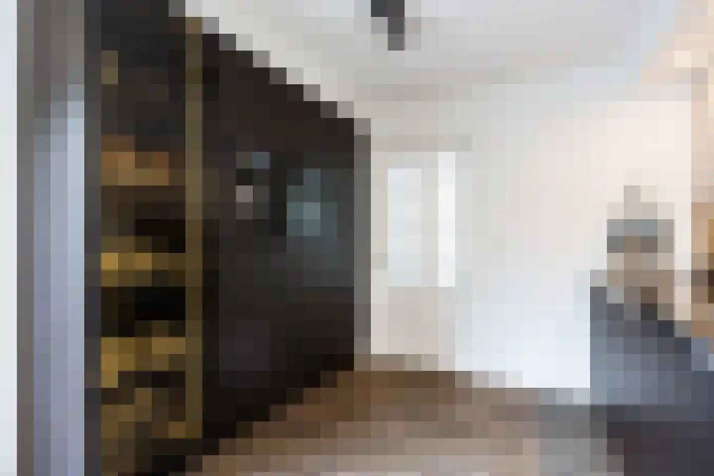 Dokter Beumerstraat 46 A Haulerwijk thumbnail 30
