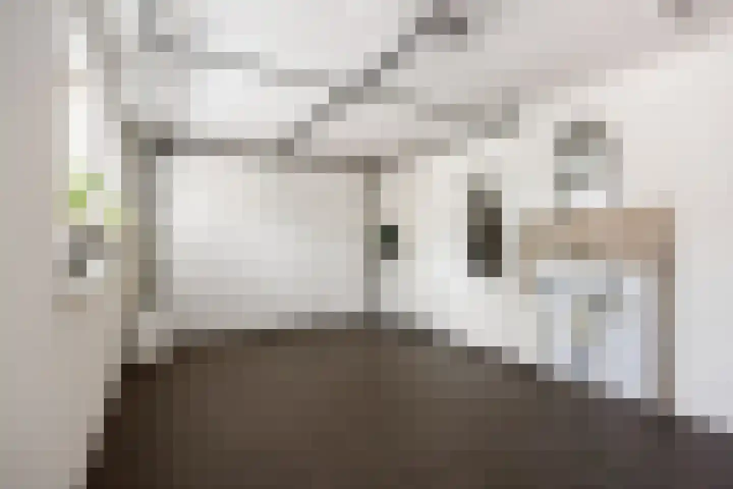 Dokter Beumerstraat 46 A Haulerwijk thumbnail 35