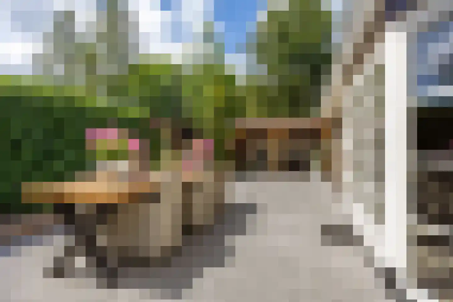 Dokter Beumerstraat 46 A Haulerwijk thumbnail 67