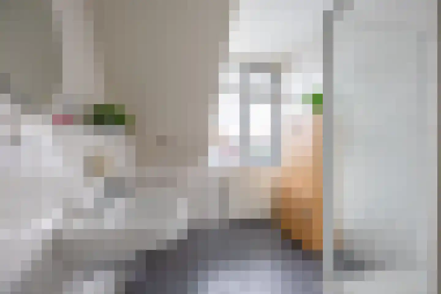 Dokter Beumerstraat 46 B Haulerwijk thumbnail 31
