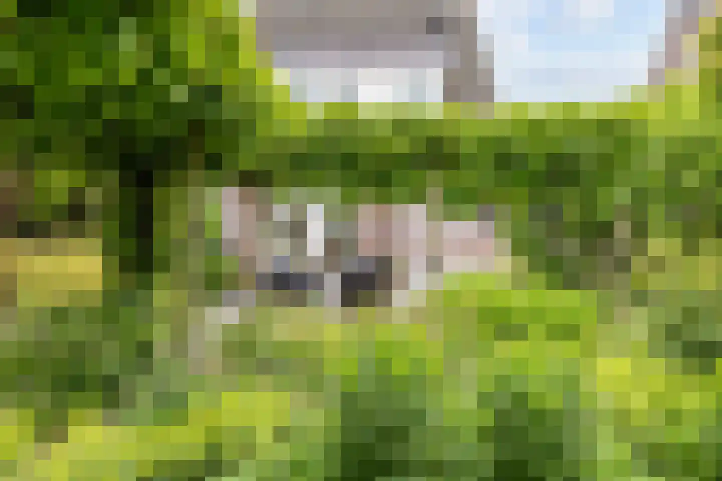 Dokter Beumerstraat 46 B Haulerwijk thumbnail 53