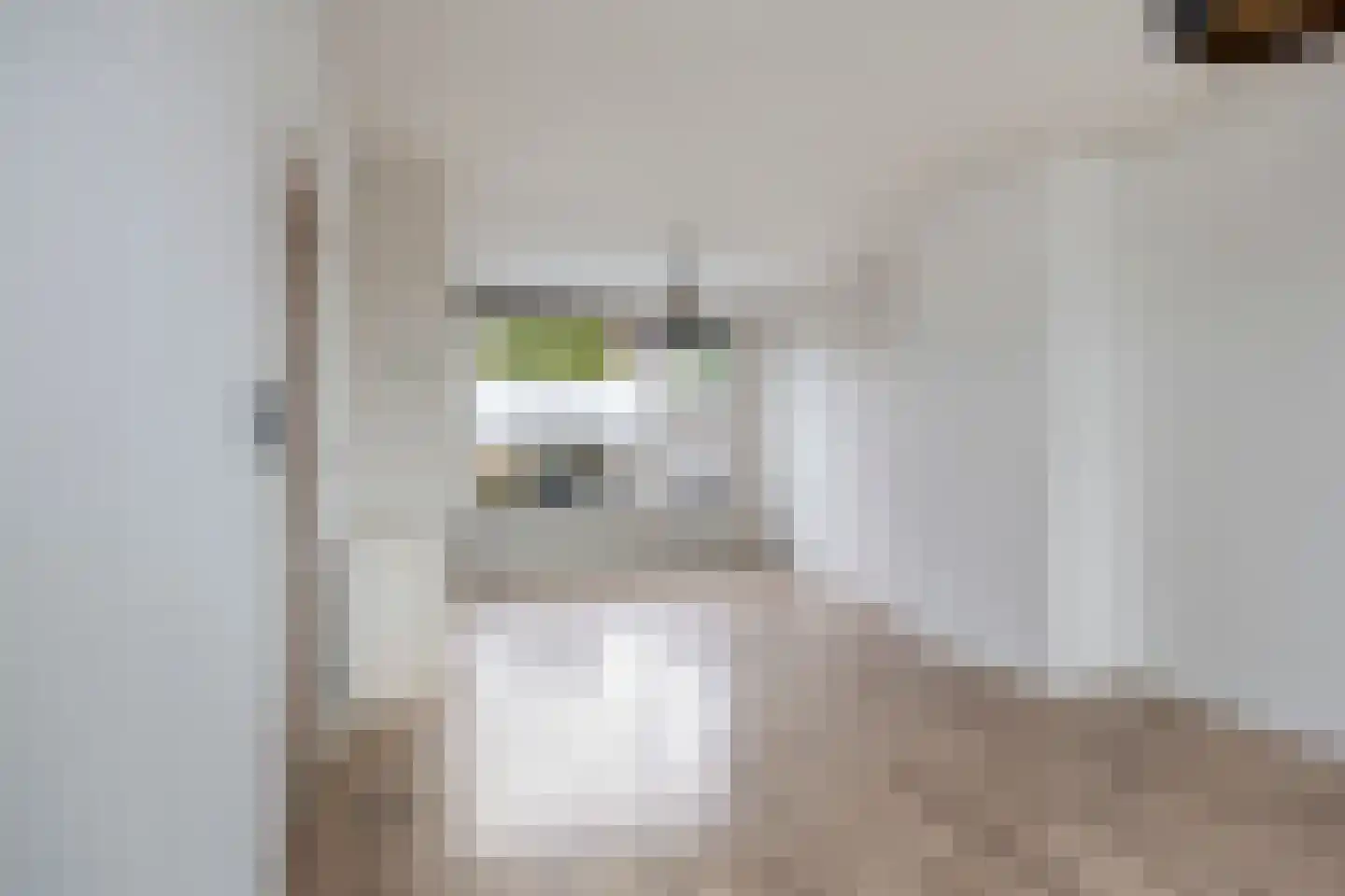 Dokter Bloemstraat 34 Spierdijk thumbnail 12