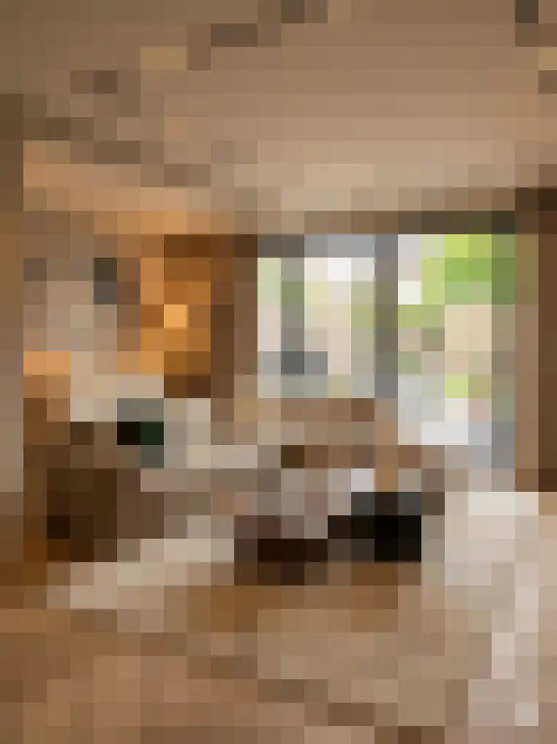 Dokter Bloemstraat 34 Spierdijk thumbnail 20