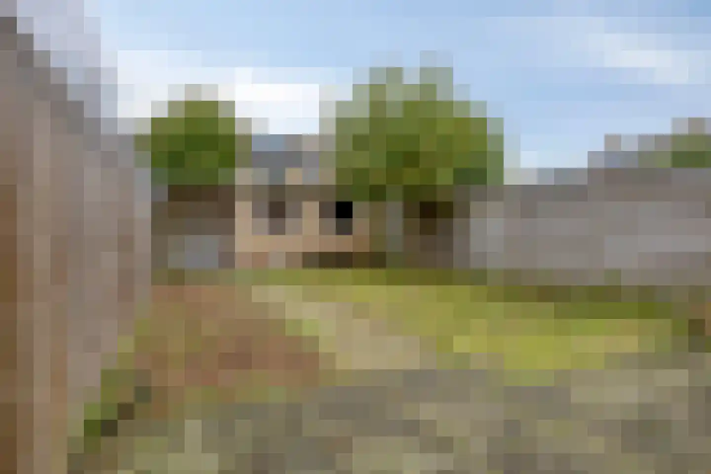 Dokter Bloemstraat 34 Spierdijk thumbnail 29
