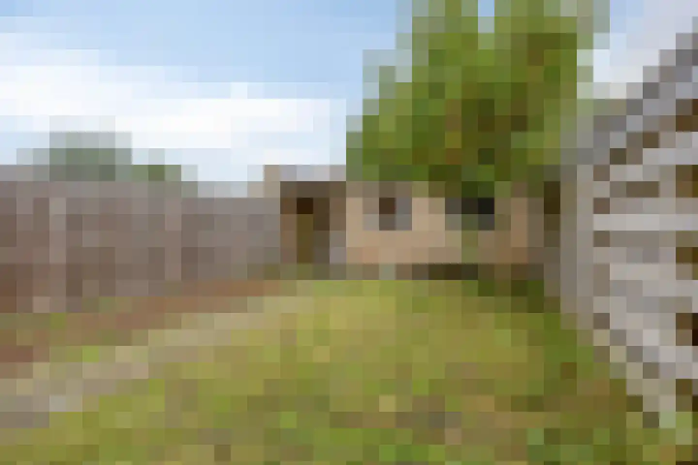 Dokter Bloemstraat 34 Spierdijk thumbnail 30