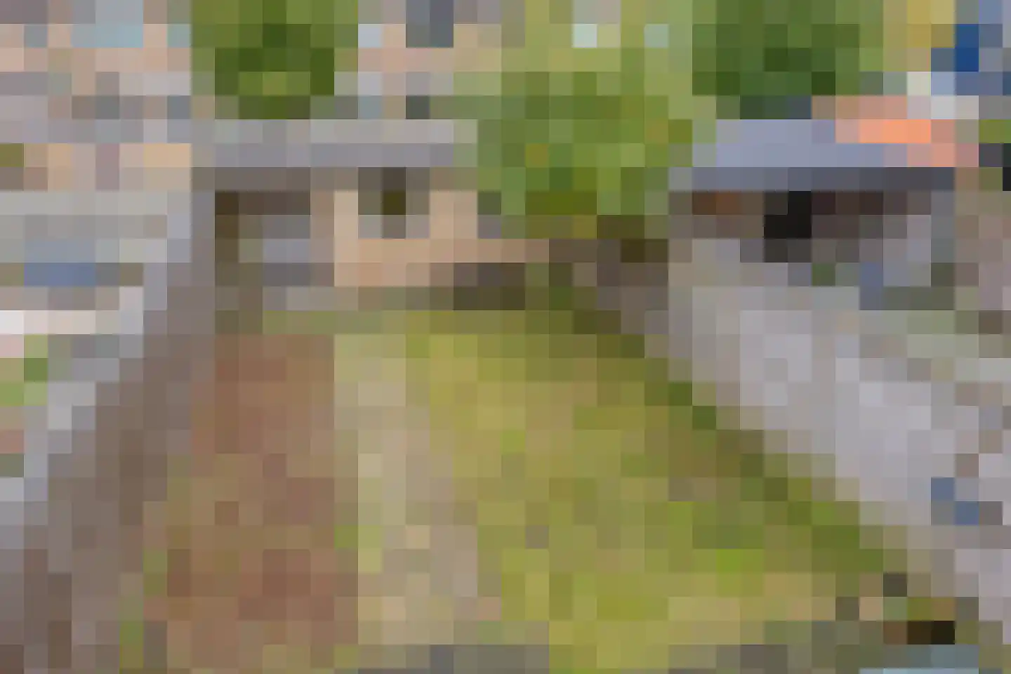 Dokter Bloemstraat 34 Spierdijk thumbnail 32