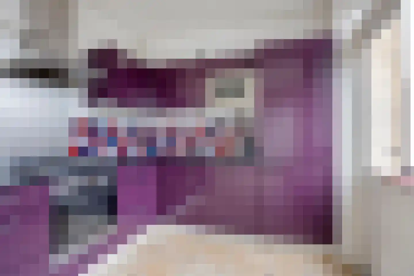 Dokter Bloemstraat 34 Spierdijk thumbnail 4
