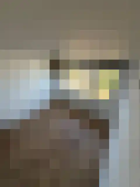Dokter Bloemstraat 34 Spierdijk thumbnail 9
