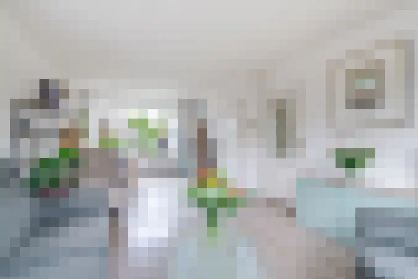 Dokter Bloemstraat 60 Spierdijk thumbnail 13