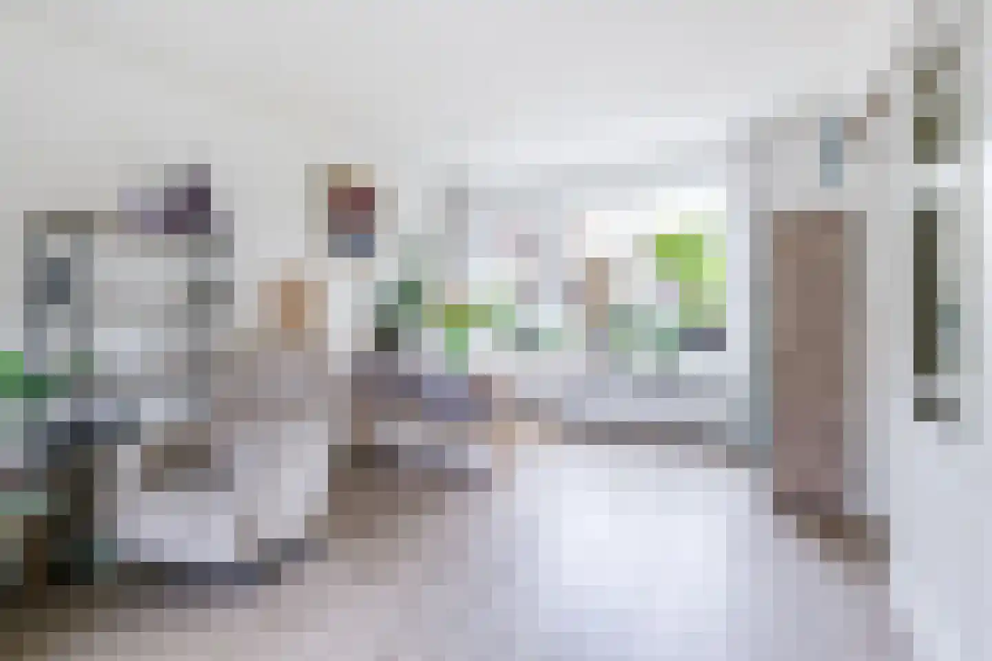 Dokter Bloemstraat 60 Spierdijk thumbnail 15