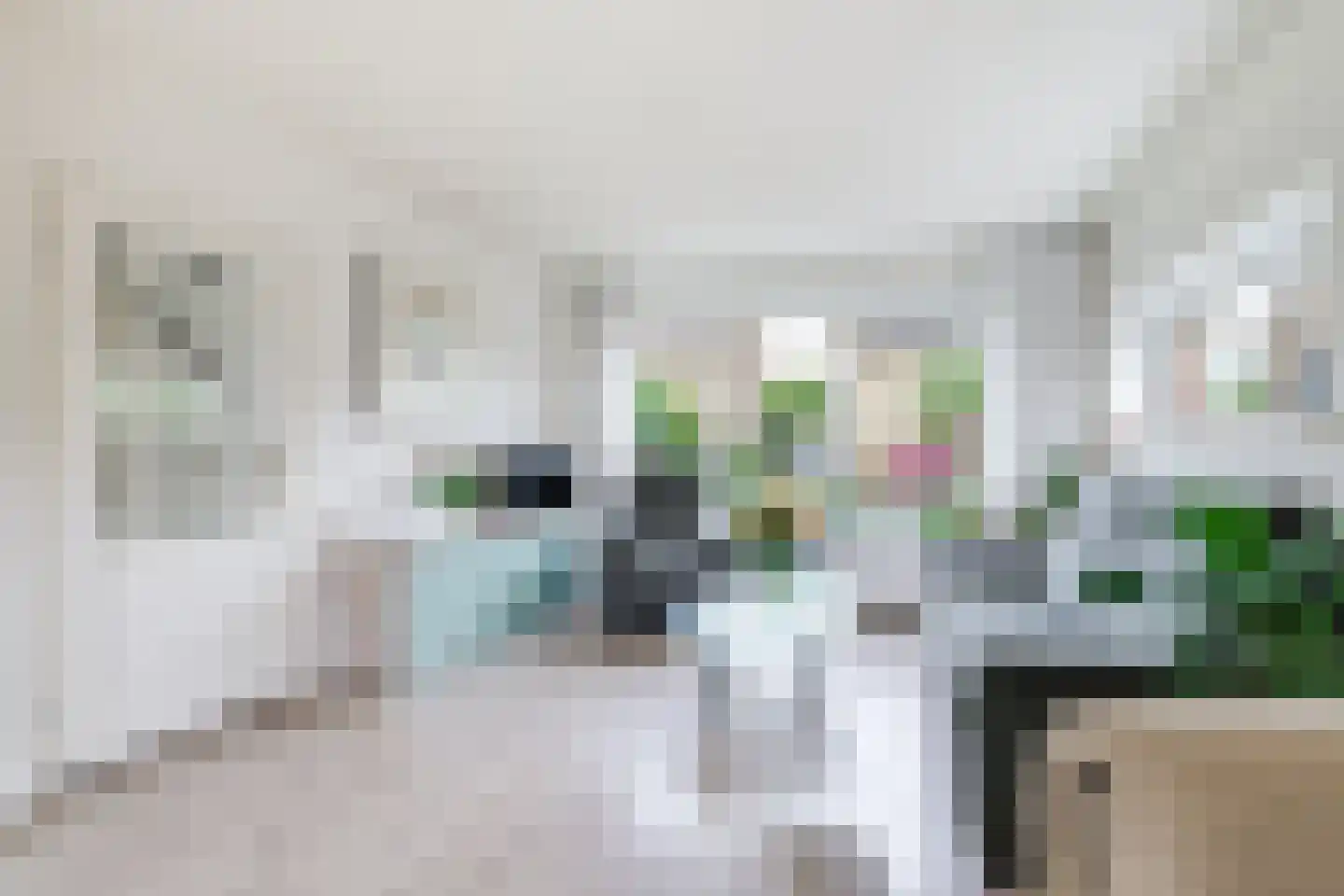 Dokter Bloemstraat 60 Spierdijk thumbnail 17