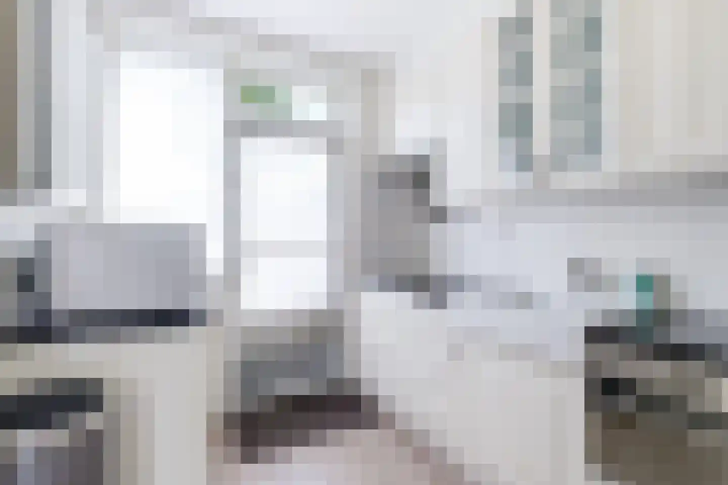 Dokter Bloemstraat 60 Spierdijk thumbnail 20