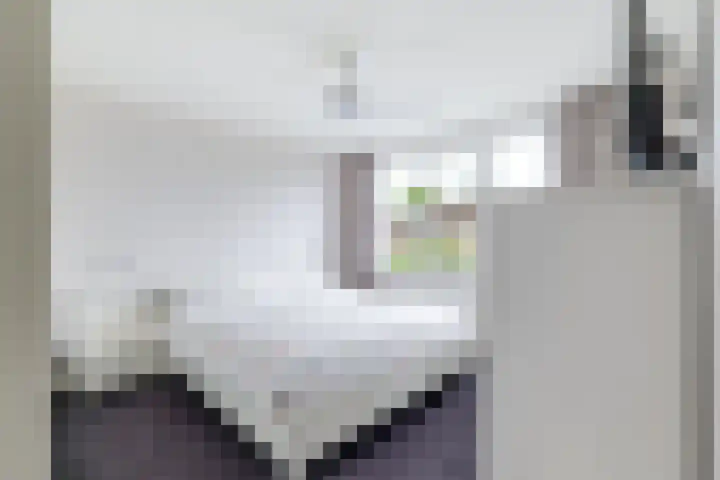Dokter Bloemstraat 60 Spierdijk thumbnail 23