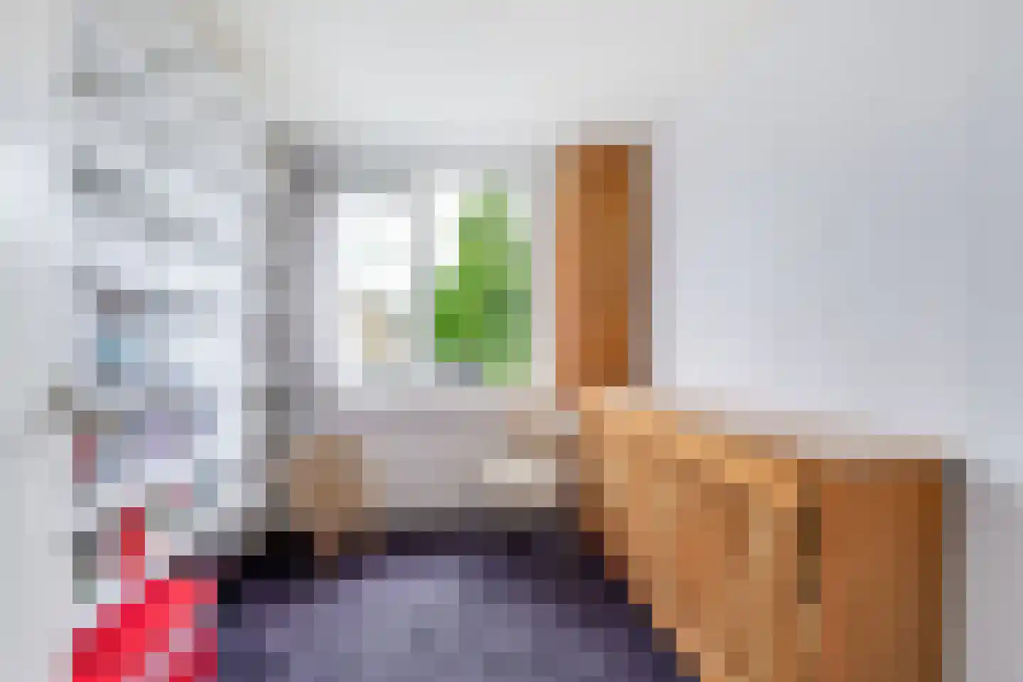 Dokter Bloemstraat 60 Spierdijk thumbnail 27