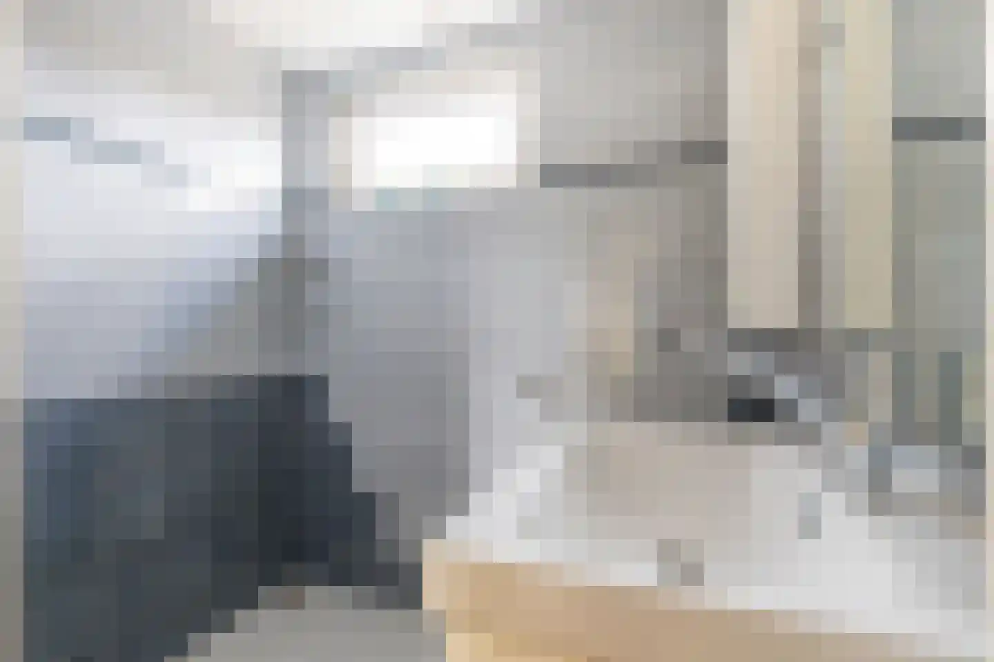Dokter Bloemstraat 60 Spierdijk thumbnail 30