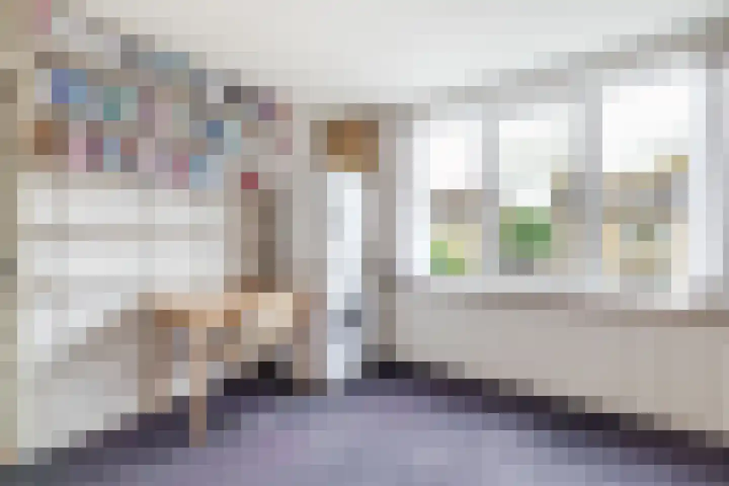 Dokter Bloemstraat 60 Spierdijk thumbnail 35