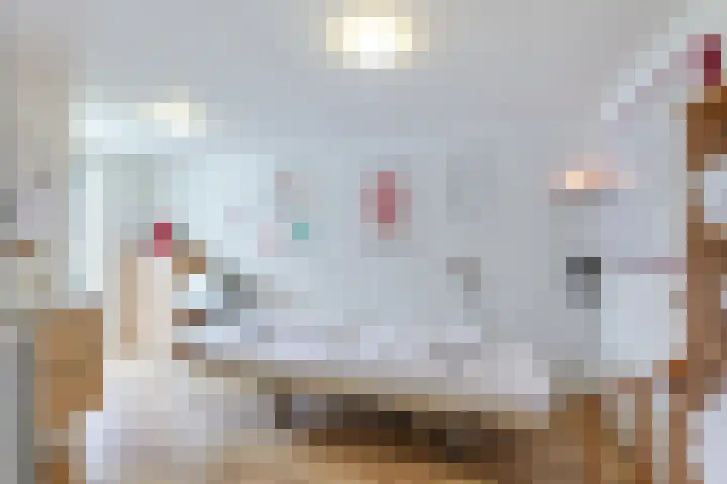 Dokter Bloemstraat 60 Spierdijk thumbnail 50