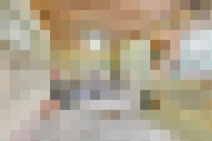 Dokter Bloemstraat 68 Spierdijk thumbnail 36