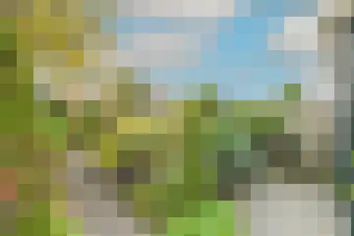 Dokter Bloemstraat 68 Spierdijk thumbnail 37