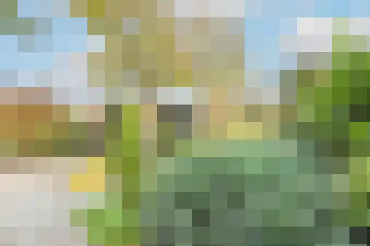 Dokter Bloemstraat 68 Spierdijk thumbnail 38