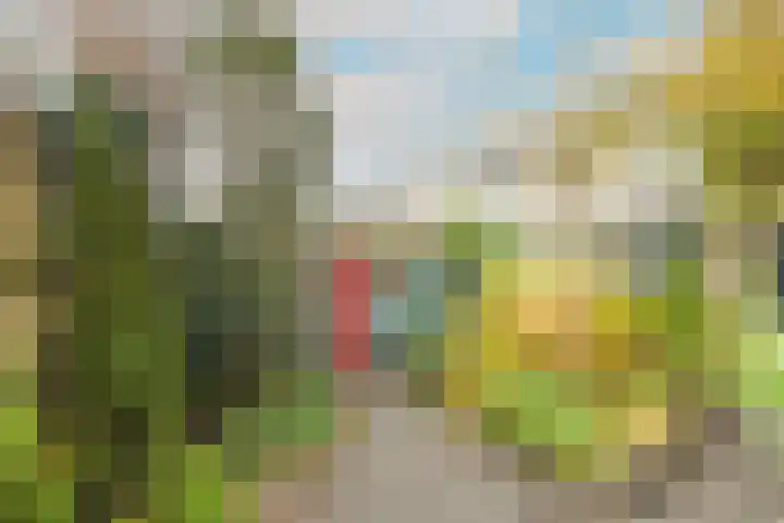 Dokter Bloemstraat 68 Spierdijk thumbnail 39