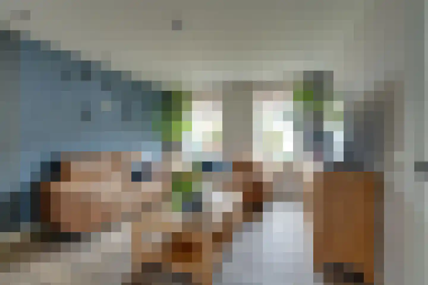Dokter Bloemstraat 83 Spierdijk thumbnail 12