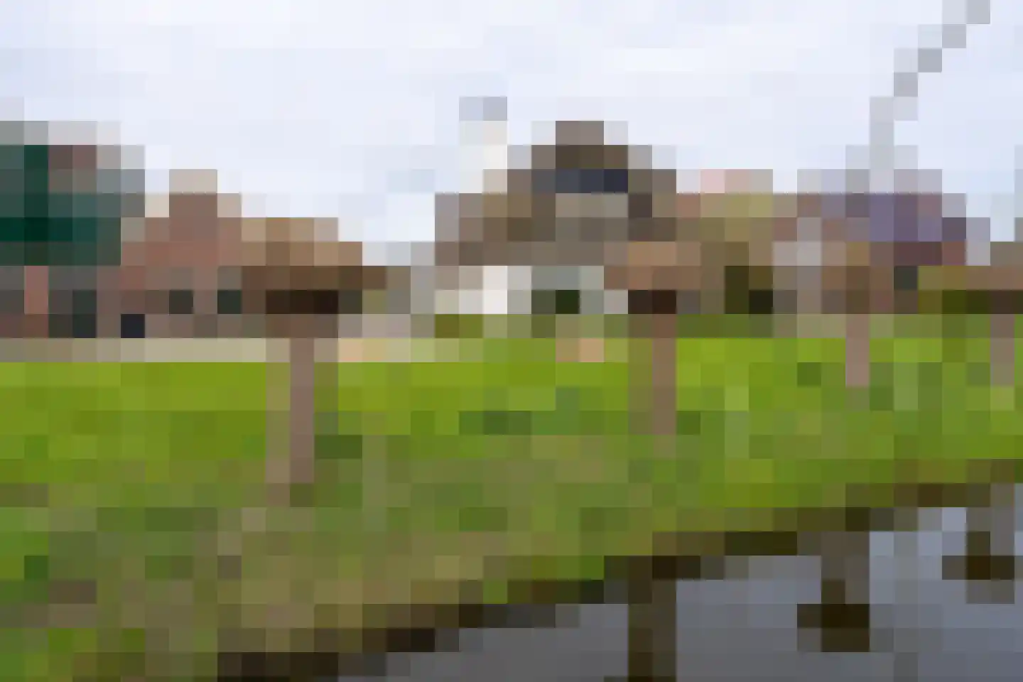Dokter Bloemstraat 83 Spierdijk thumbnail 26