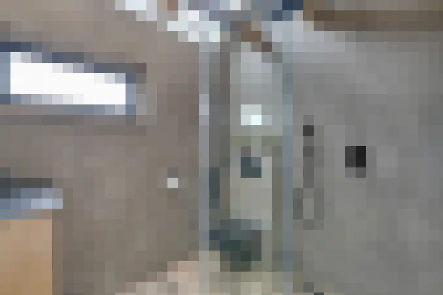 Dokter Bloemstraat 83 Spierdijk thumbnail 45