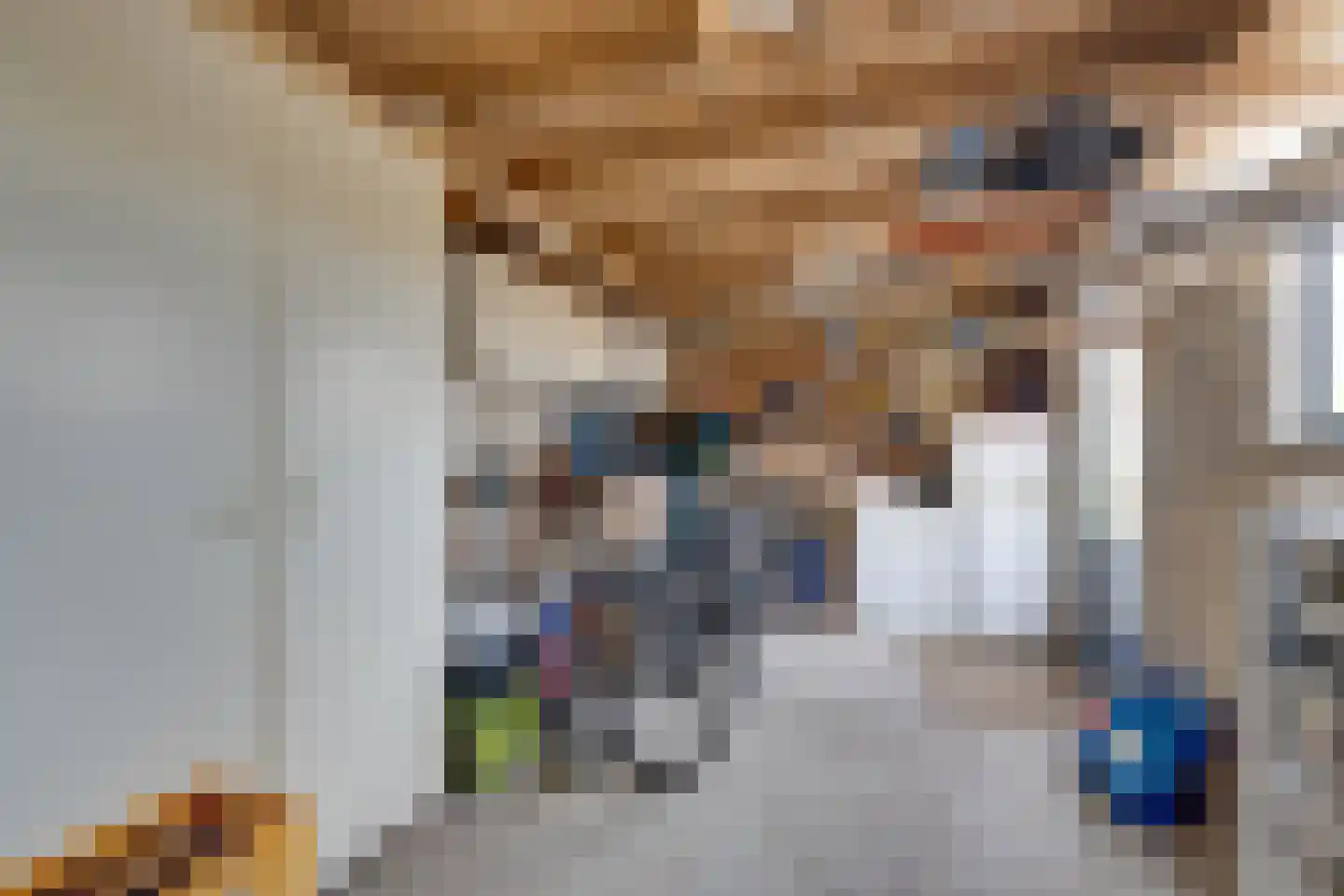 Dokter Bloemstraat 83 Spierdijk thumbnail 50