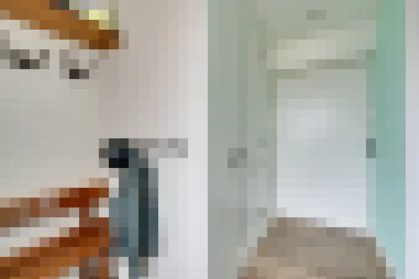 Dokter Bloemstraat 83 Spierdijk thumbnail 9