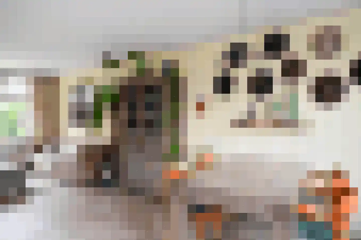 Dokter Bloemstraat 89 Spierdijk thumbnail 10