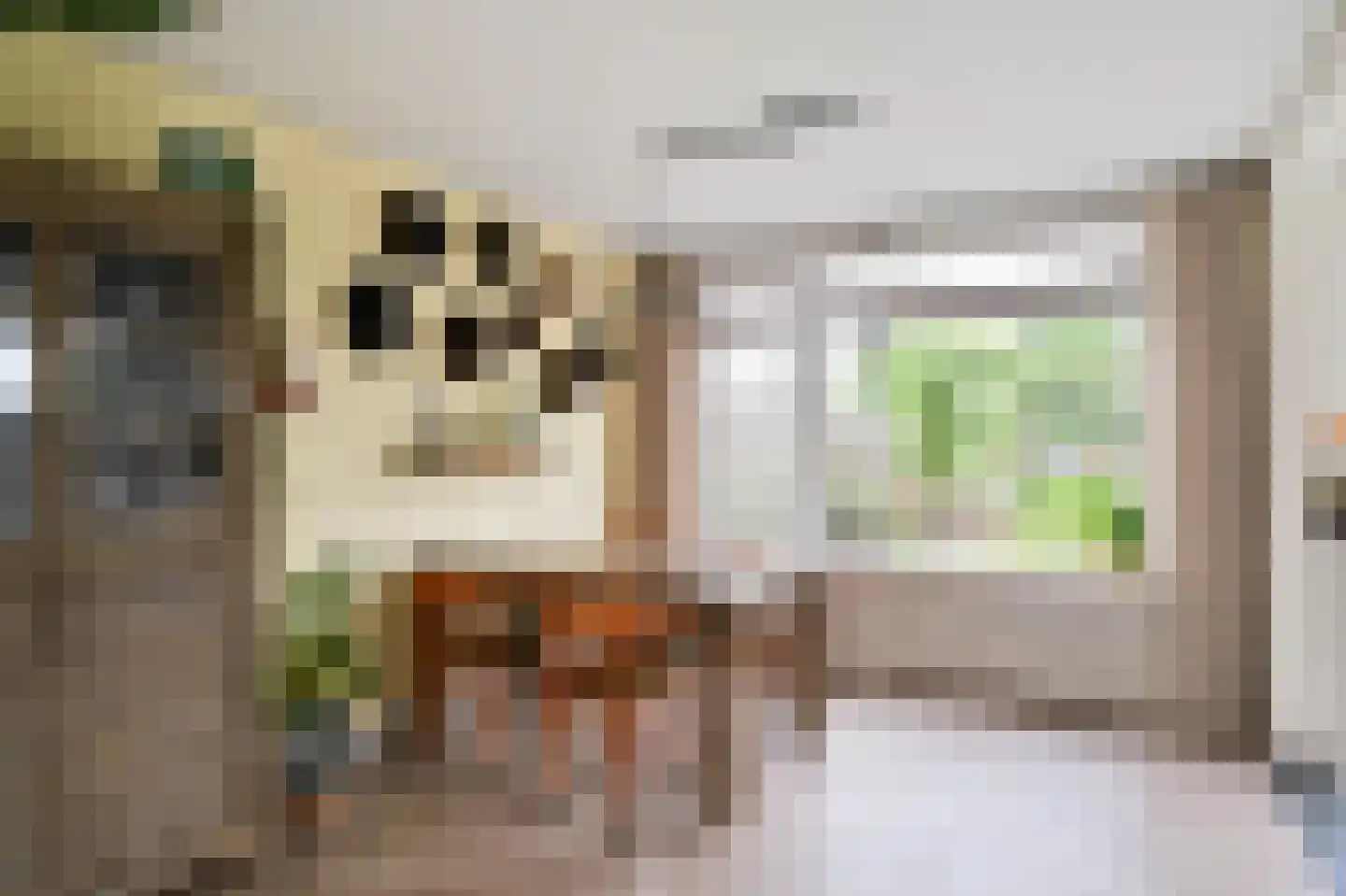 Dokter Bloemstraat 89 Spierdijk thumbnail 11