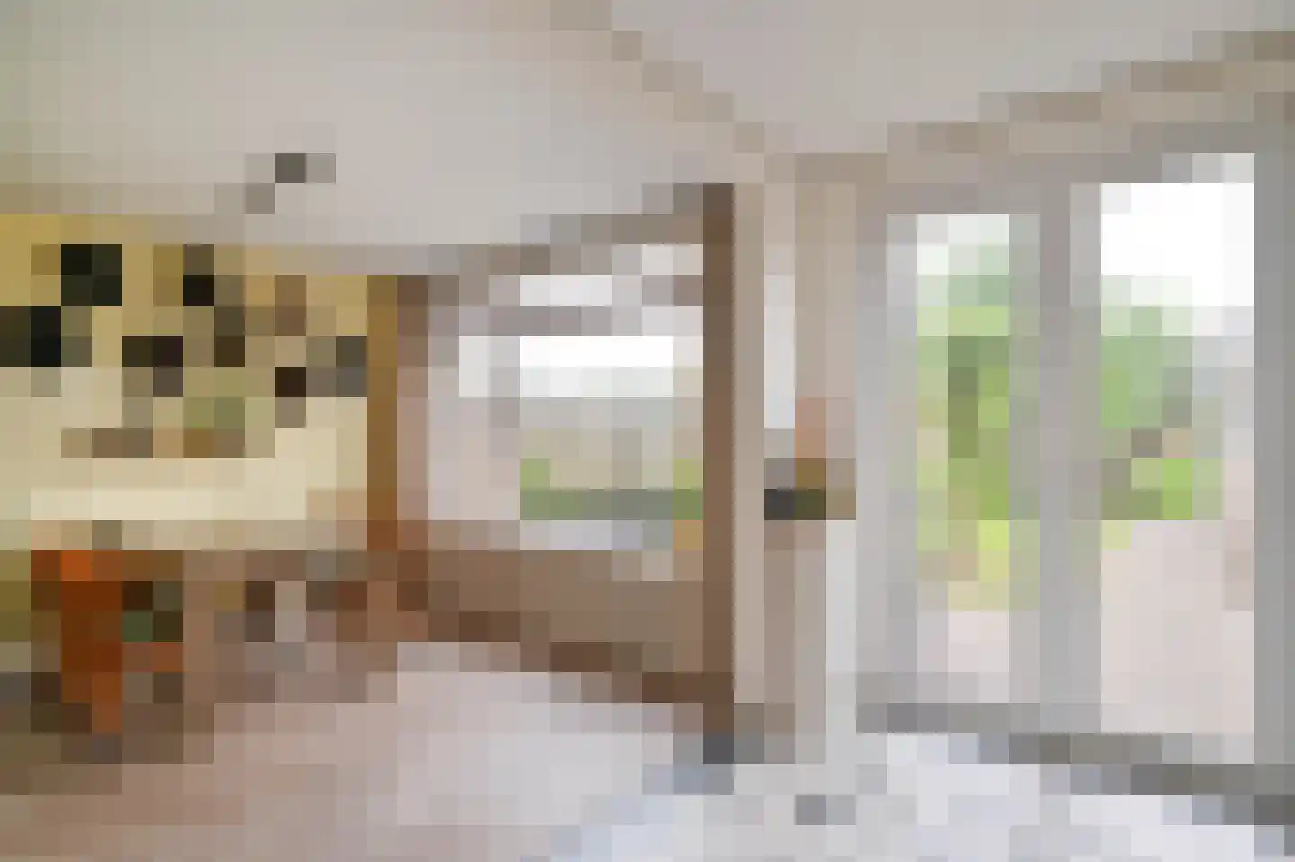 Dokter Bloemstraat 89 Spierdijk thumbnail 12