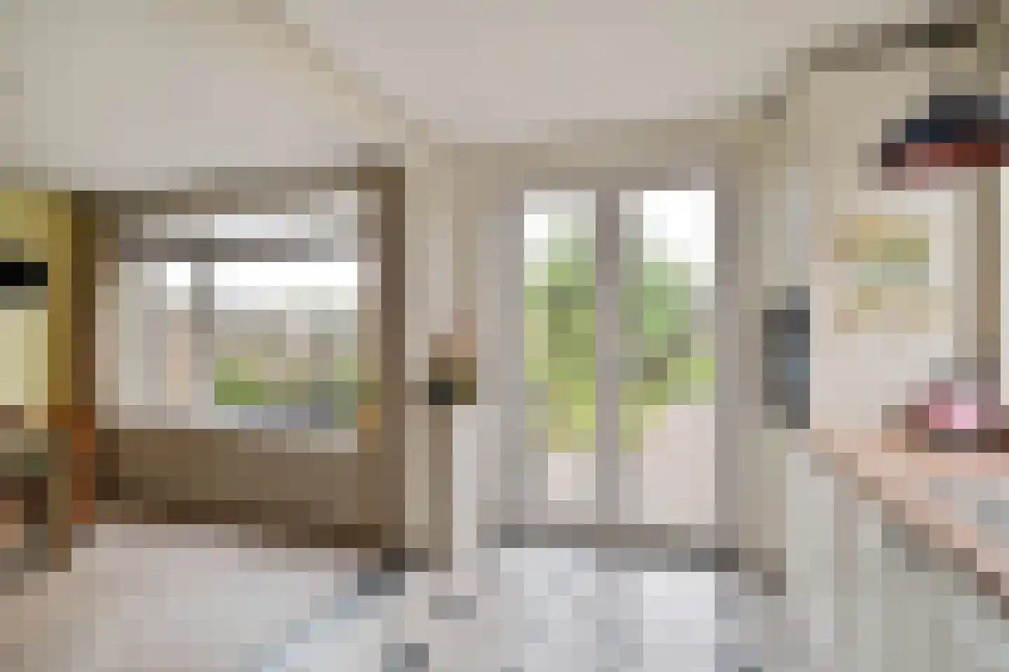 Dokter Bloemstraat 89 Spierdijk thumbnail 13