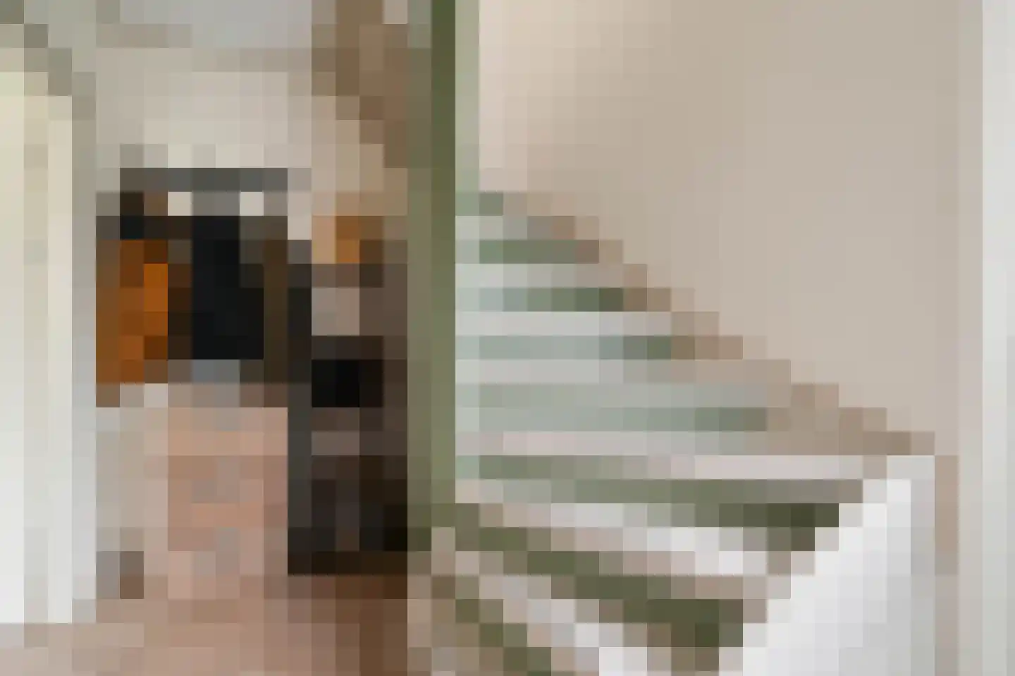 Dokter Bloemstraat 89 Spierdijk thumbnail 17