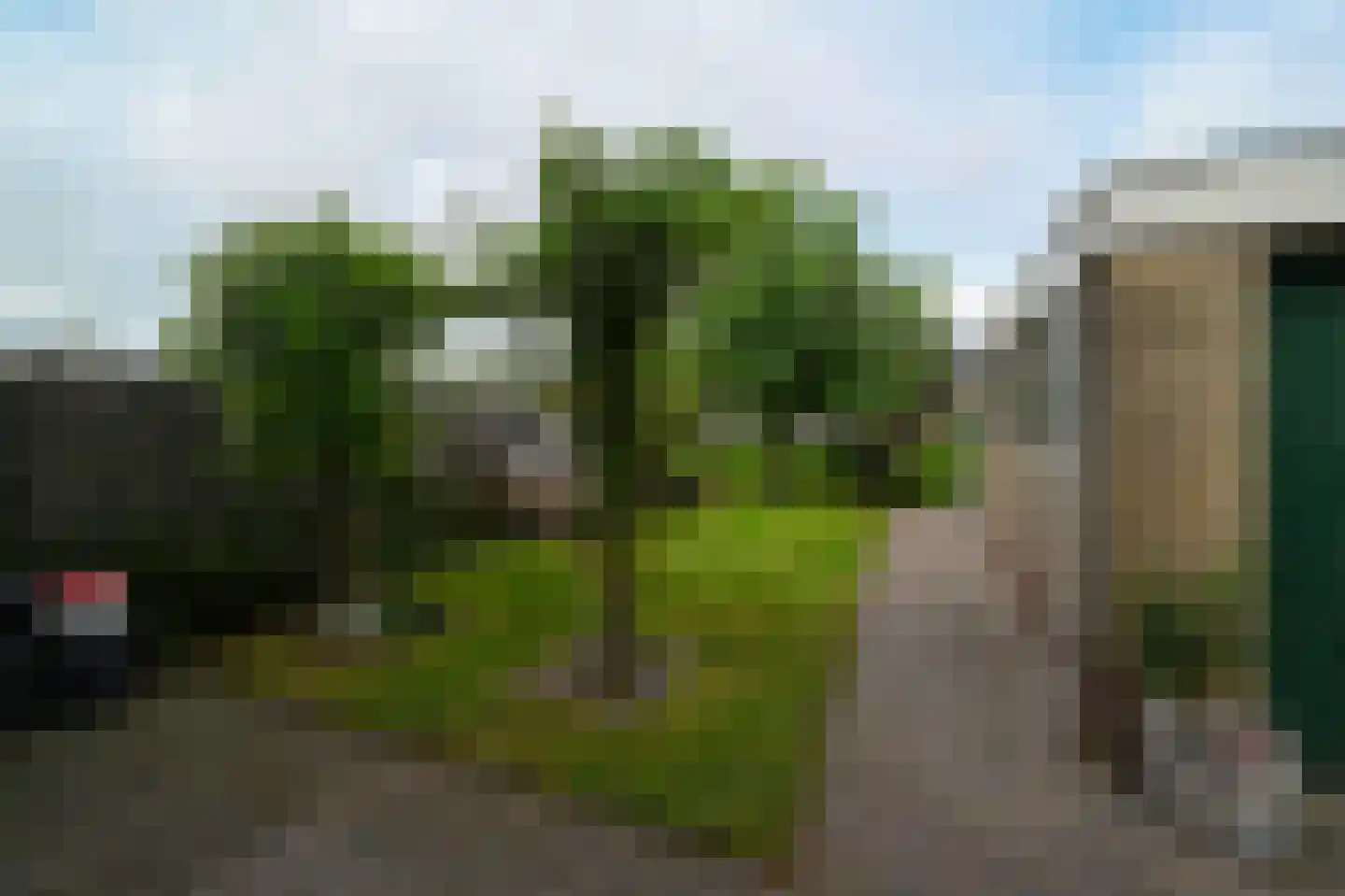 Dokter Bloemstraat 89 Spierdijk thumbnail 30