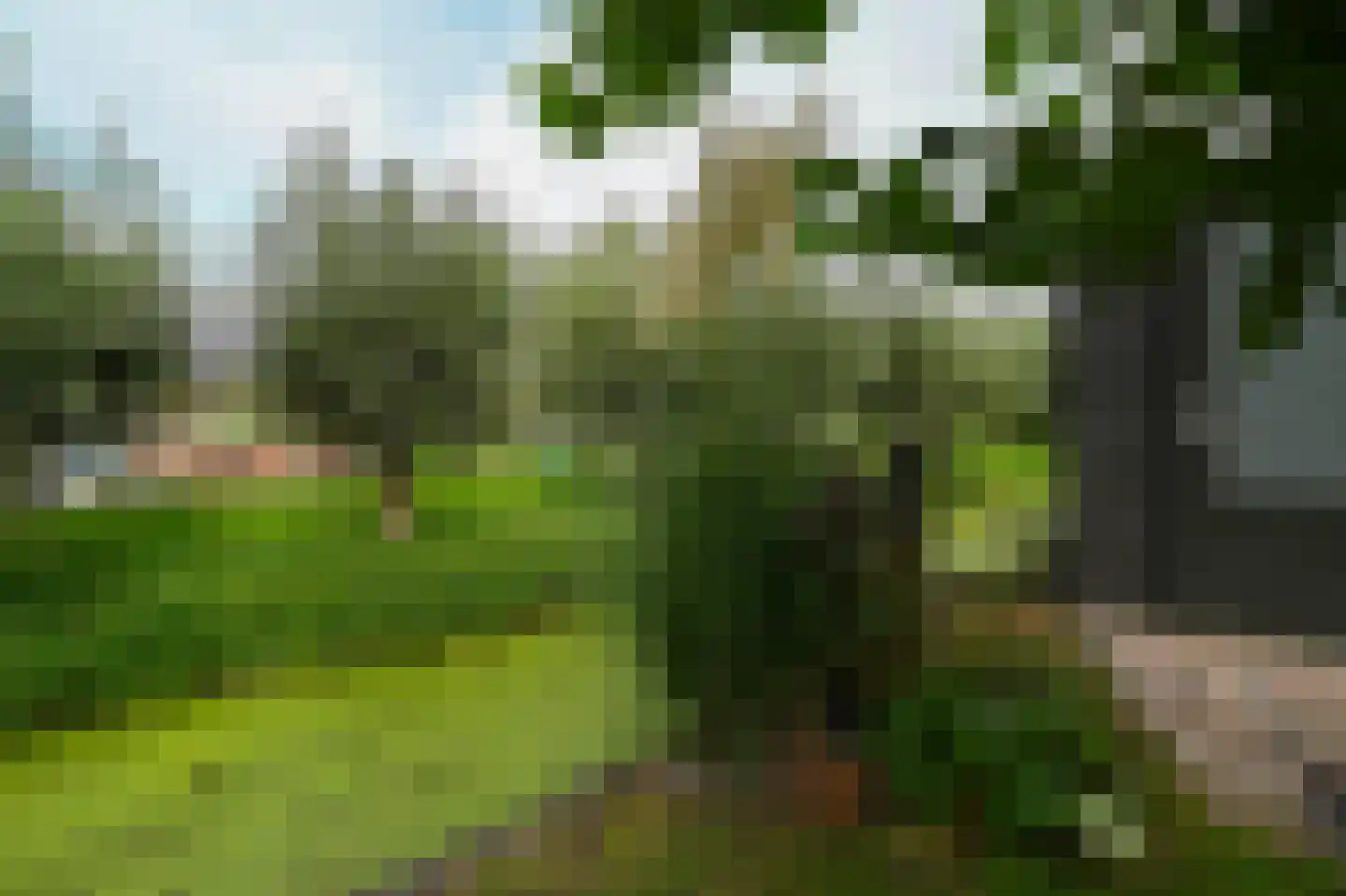 Dokter Bloemstraat 89 Spierdijk thumbnail 32