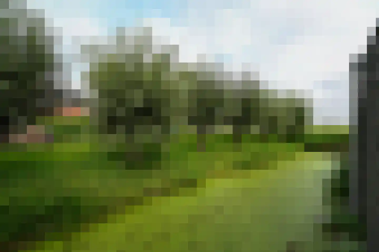 Dokter Bloemstraat 89 Spierdijk thumbnail 33