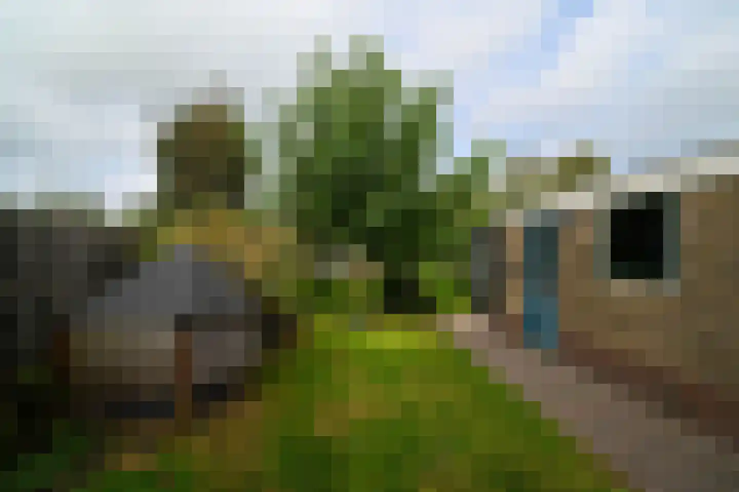 Dokter Bloemstraat 89 Spierdijk thumbnail 34