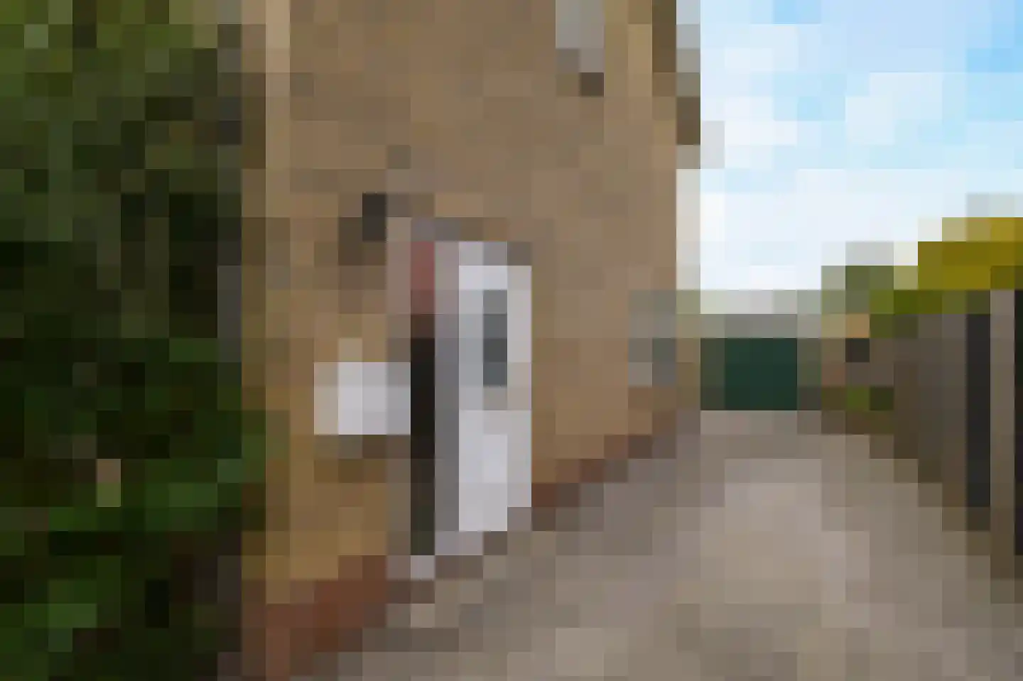 Dokter Bloemstraat 89 Spierdijk thumbnail 35