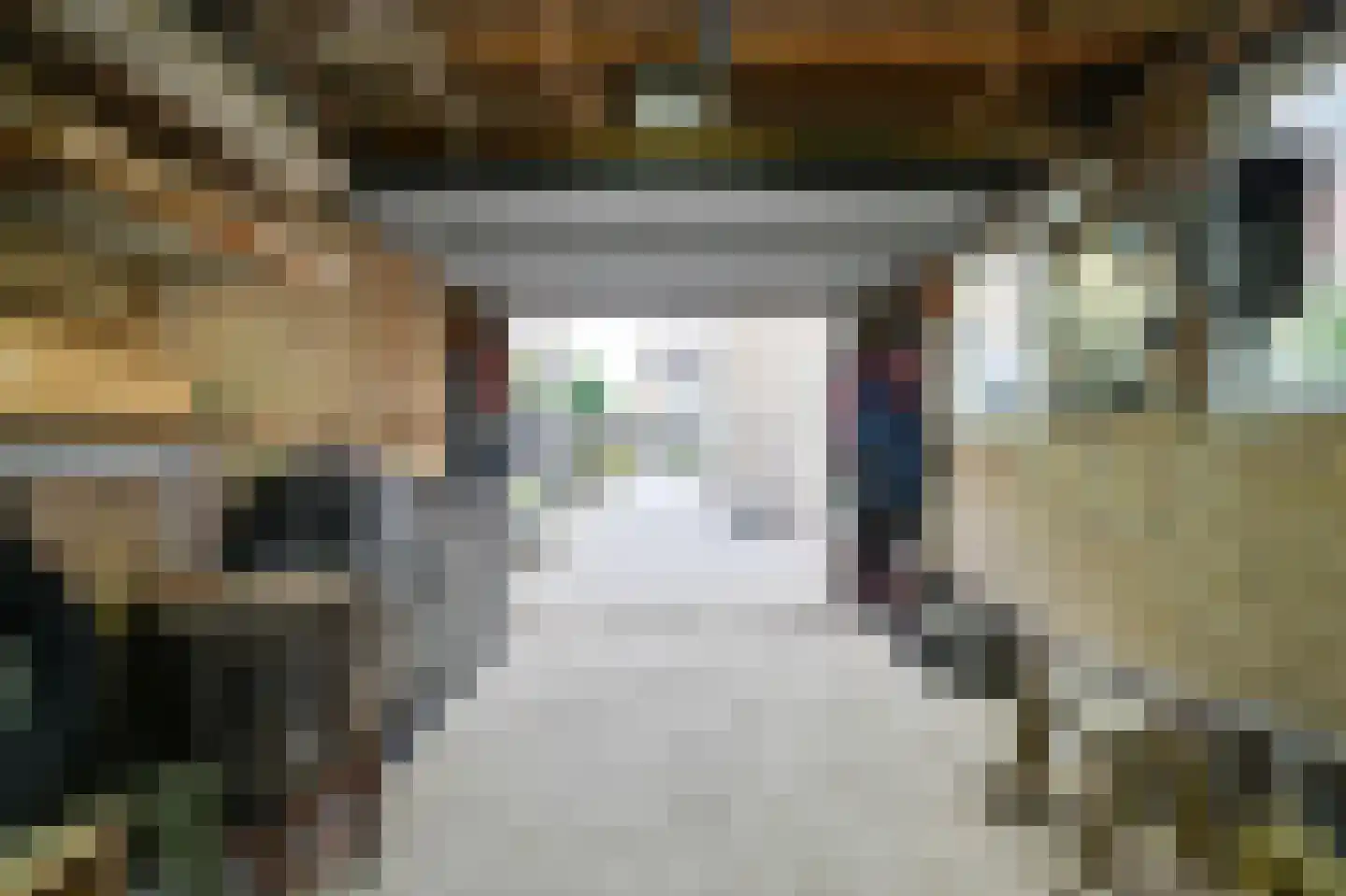 Dokter Bloemstraat 89 Spierdijk thumbnail 37
