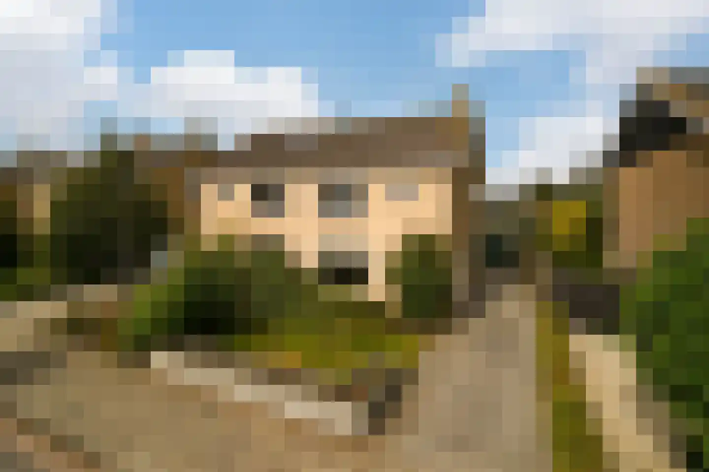 Dokter Bloemstraat 89 Spierdijk thumbnail 38