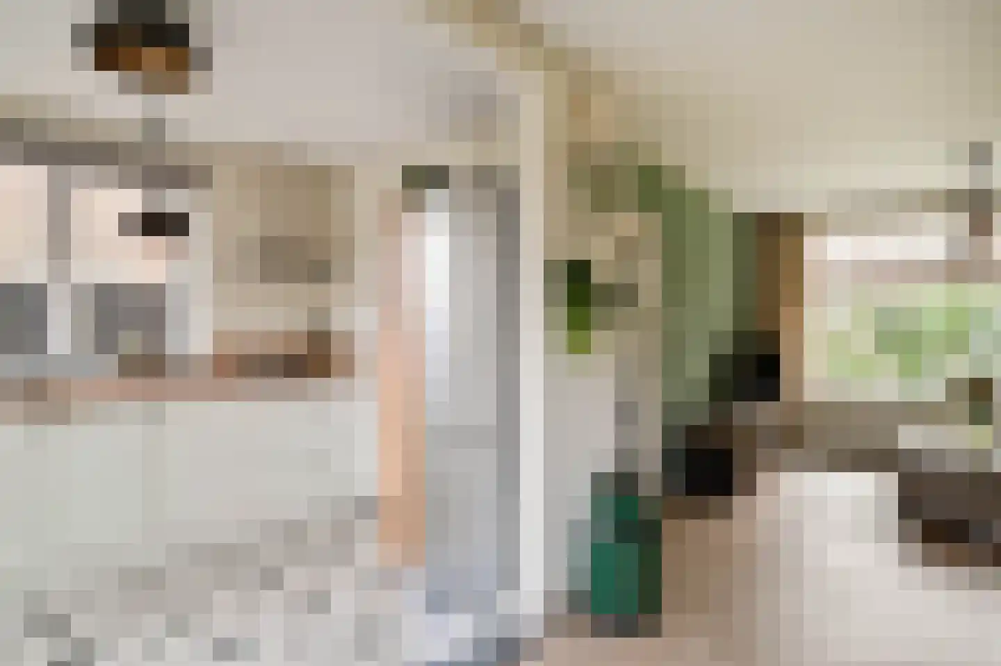 Dokter Bloemstraat 89 Spierdijk thumbnail 4
