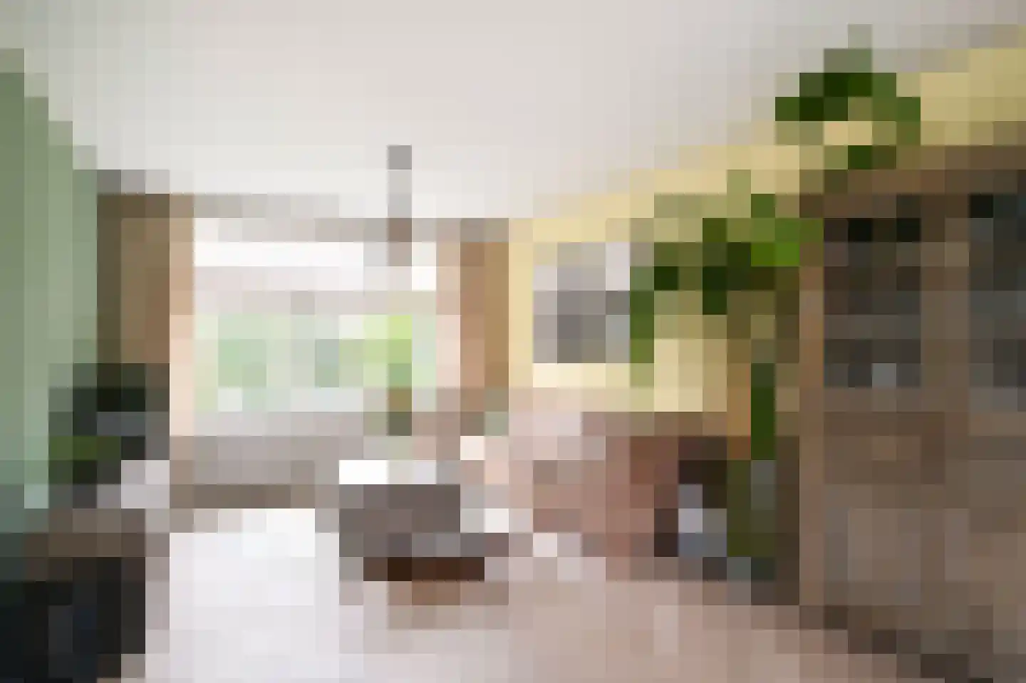 Dokter Bloemstraat 89 Spierdijk thumbnail 6